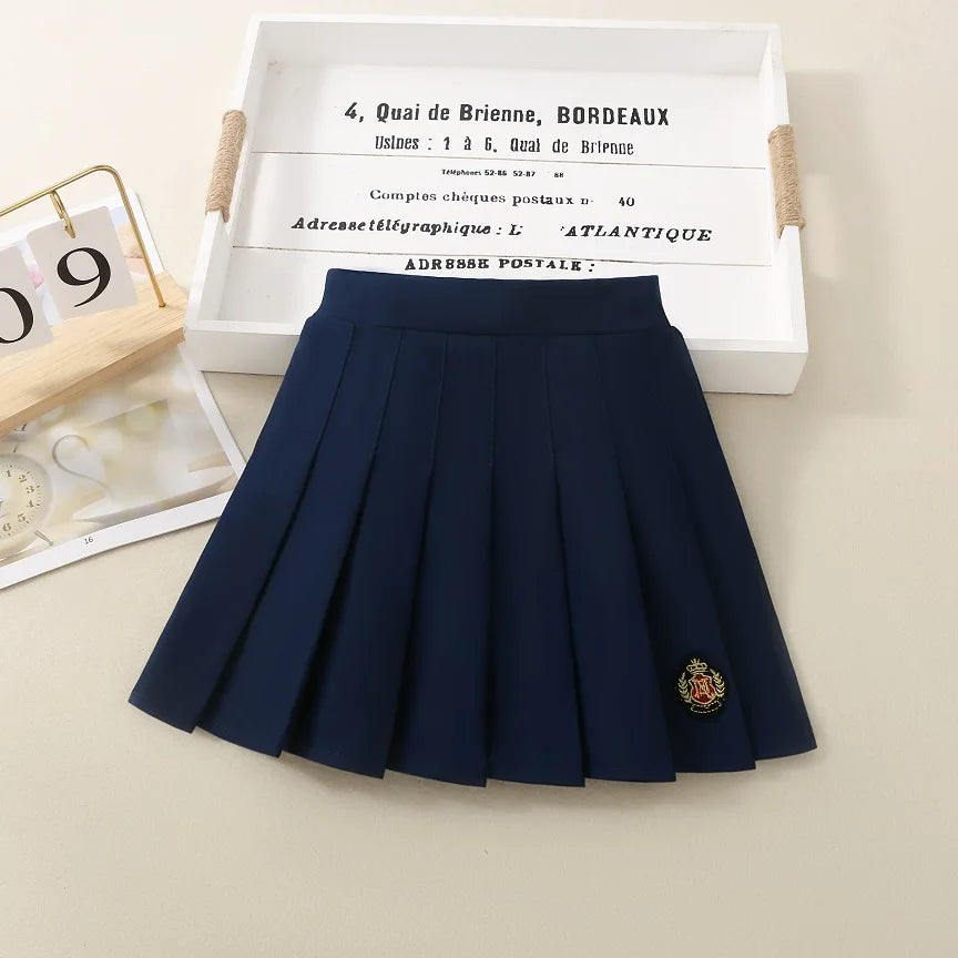 Gray A-Line Skirt School Uniform Style JK Pleated High Waist