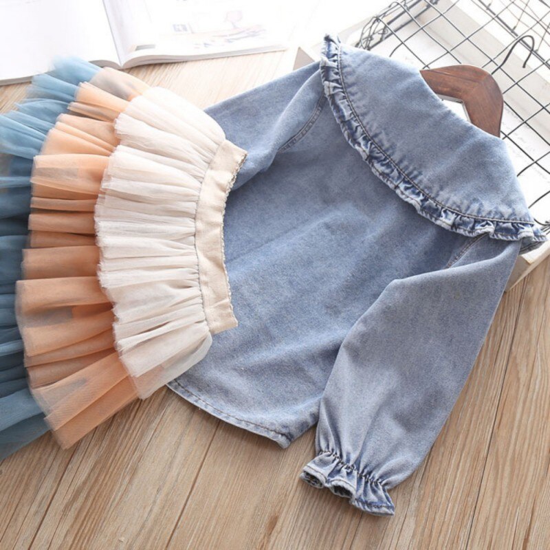 Denim Blouse & Mesh Pleated Skirt Outfit